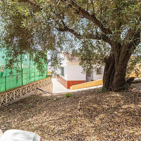Stunning In El With Wifi Holiday home Morche